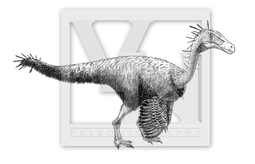 The putative Bulgarian ornithomimosaur