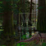 Encounters in the Cypress Swamp