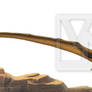 Anhanguera sp.