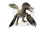 Velociraptor mongoliensis by T-PEKC