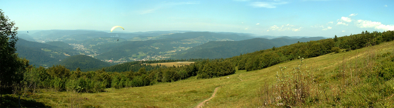 Ballon D'alsace