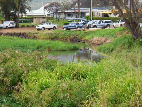 RIver at Kauai