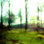 Halcyon