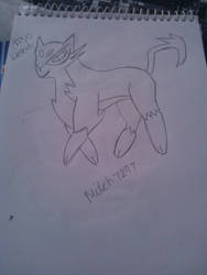 510.Liepard