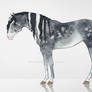 HORSE ADOPT OPEN
