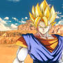 LR Super Vegito