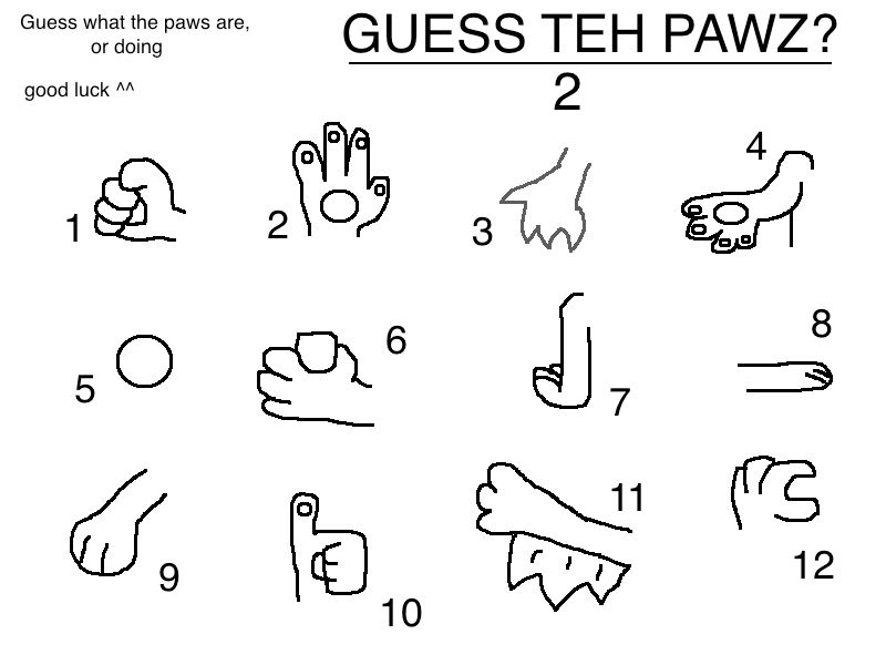GUESS TEH PAWZ 2 Guessin Game By Cats go quack On DeviantArt guess-teh-pawz-2-guessin-game-by-cats-go-quack-on-deviantart