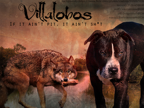 Villalobos