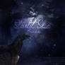 Starlit Skies 2019