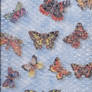 Butterflies Under Bubblewrap
