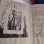 Woodland Walk Book