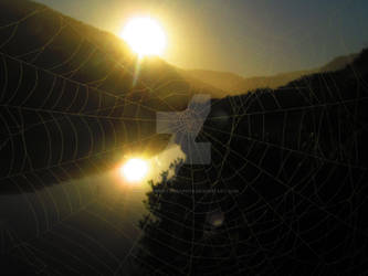 Sunset web