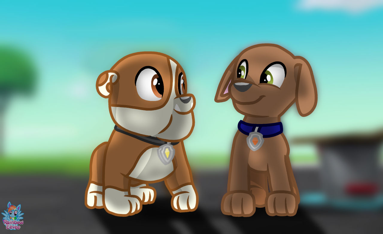 Rubble and Zuma PAW Patrol by RainbowEevee-DA on DeviantArt