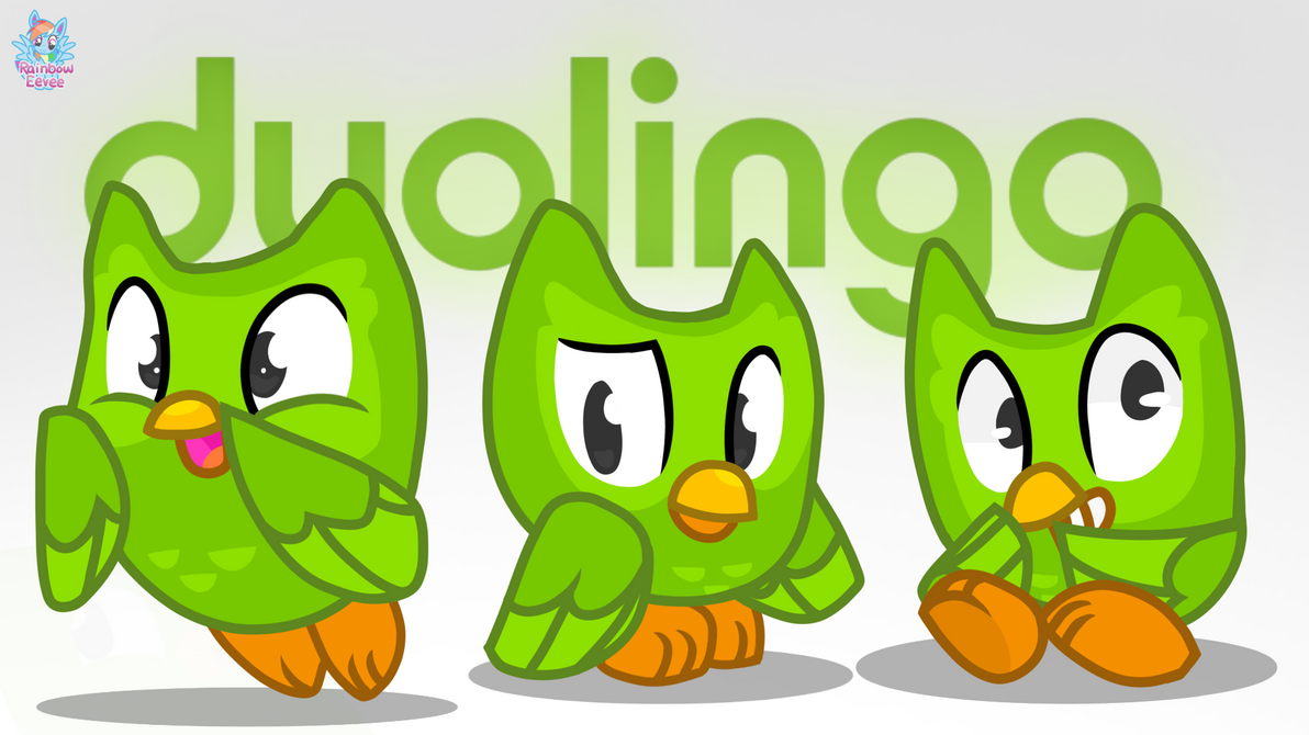 Duolingo Owl doodles By RainbowEevee DA On DeviantArt duolingo-owl-doodles-by-rainboweevee-da-on-deviantart