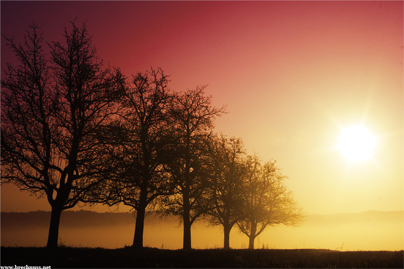 Herbst Autumn Automne Otono