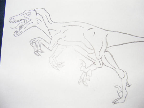 Raptor Sketch by lukieboi18 on DeviantArt