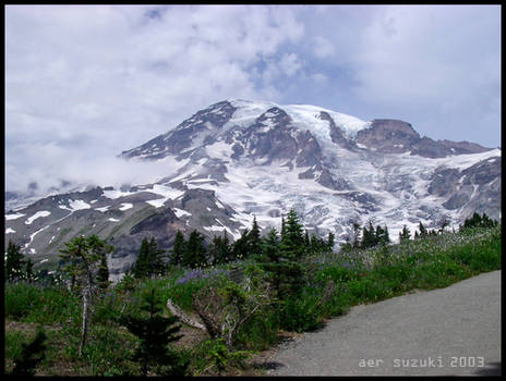 rainier 2