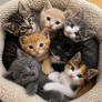 The Committee on Immediate Cuteness