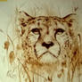 guepard