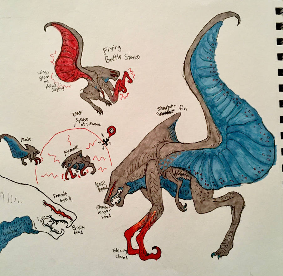 Roleplay idea - Toho Kingdom
