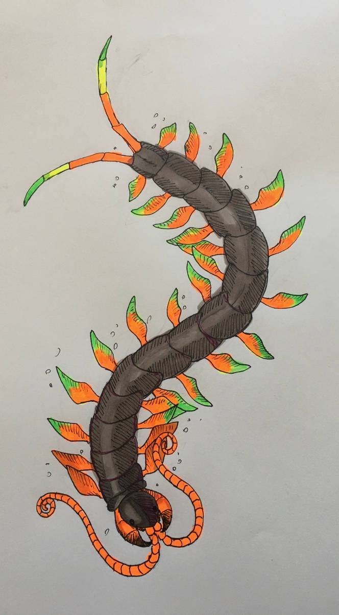 Con Rit, Sea Centipede by Apgigan on DeviantArt