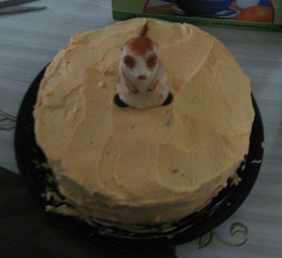 Meerkat Cake