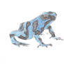 Poison Dart Frog