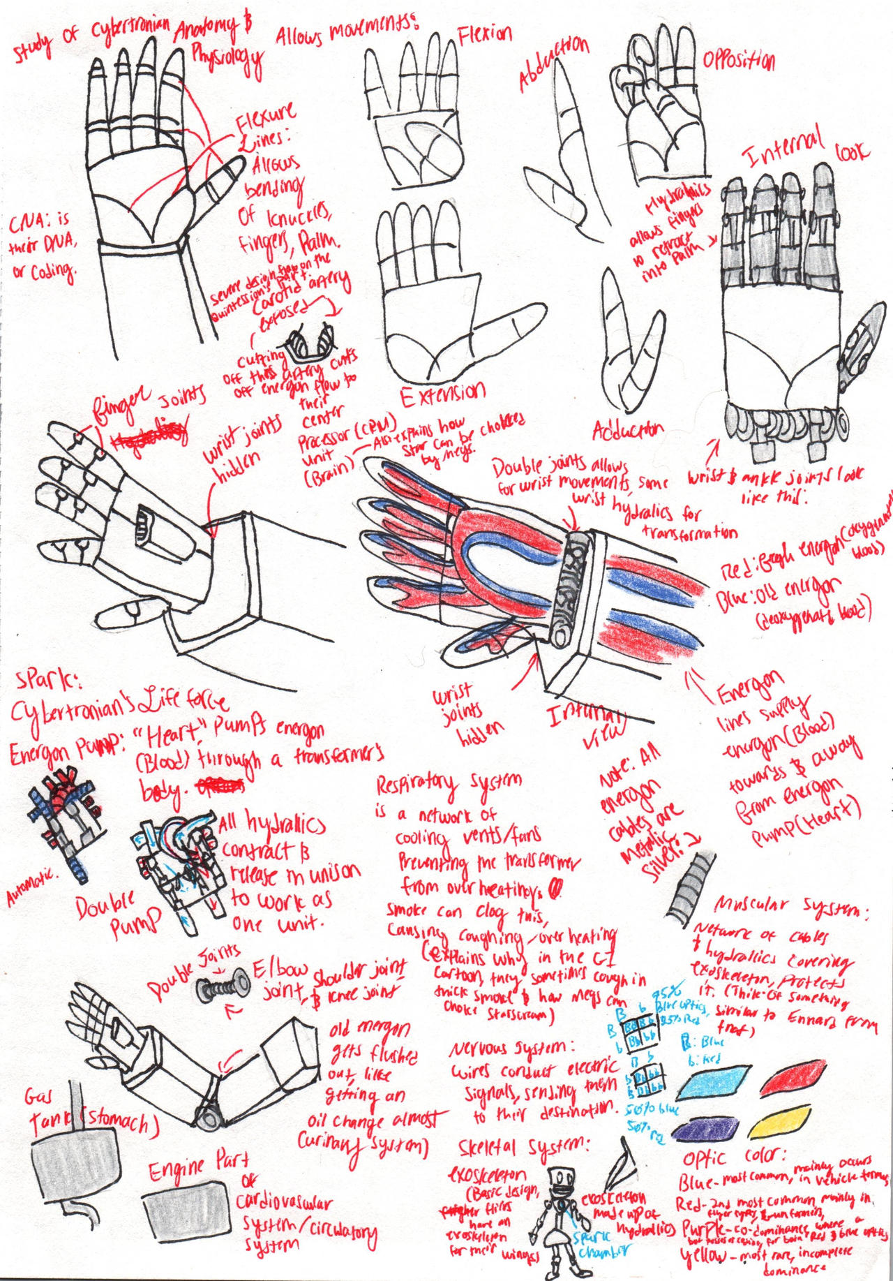 Study of Cybertronian Anatomy and Physiology by KingStarscreamG1 on ...
