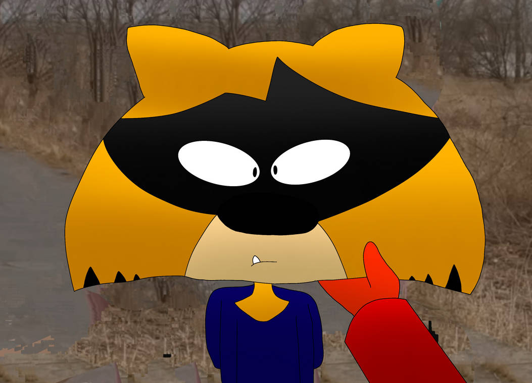 Shady Raccoon meet Shady raccoon in the real world by BBhillery on DeviantArt