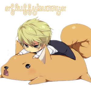 Cute Heiwajima Shizuo