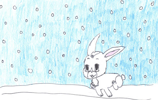 White Bunny in snow