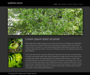 Web Template #99