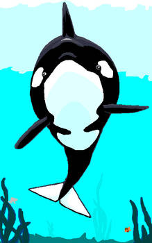 Orca of MSPaint Proportions