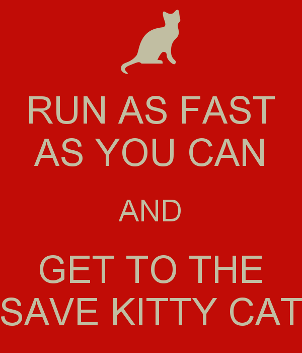 Save Kitty Cat