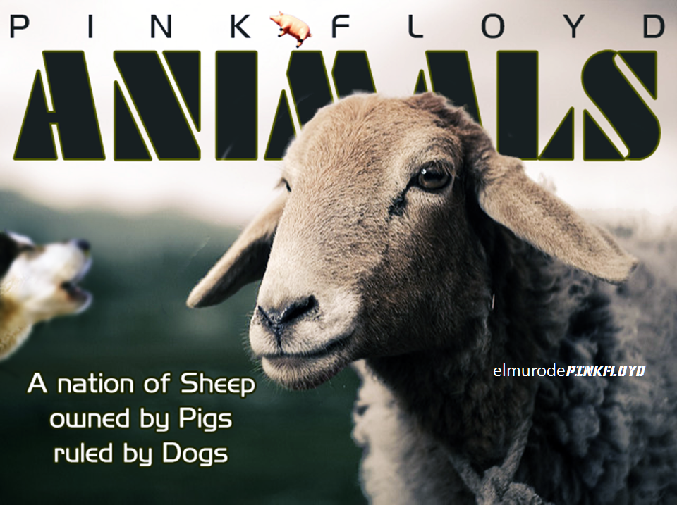 Pink Floyd Animals by elmurodepinkfloyd on DeviantArt