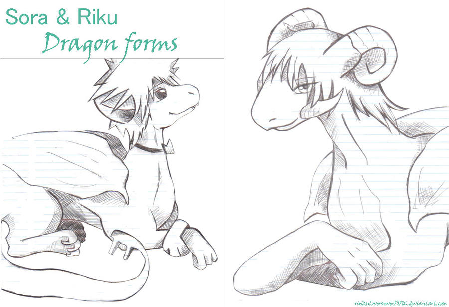 Sora + Riku - Dragon Forms