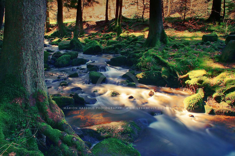 HDR River