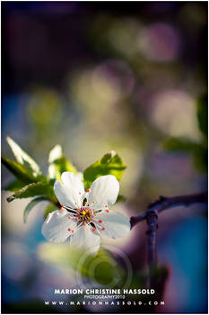 a sunny day in april