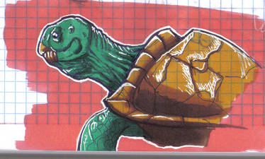 Quick turtle doodle