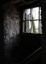 Abandoned Farm Window