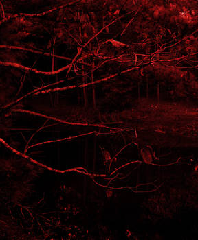 Autumn Equinox