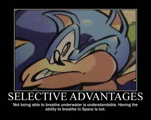 Sonic Motivational: Selective Advantages