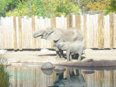 Getting a drink With mom