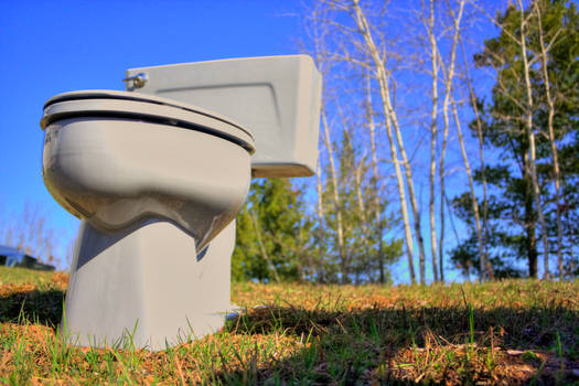 Outdoor Toilet