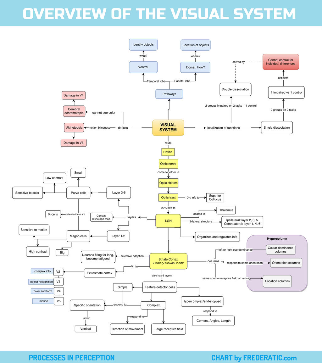 Visual System Concept Map by Frederatic on DeviantArt