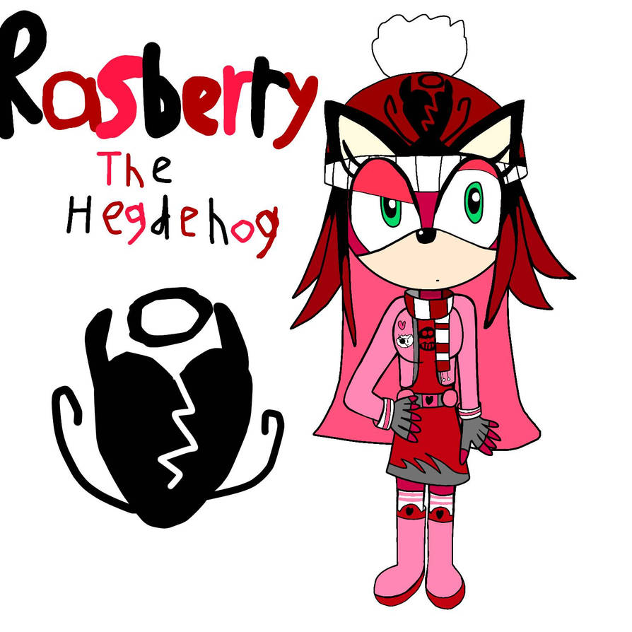 Rasberry The Hedgehog (Sonic OC) by AmethystRWBYfanatic on DeviantArt