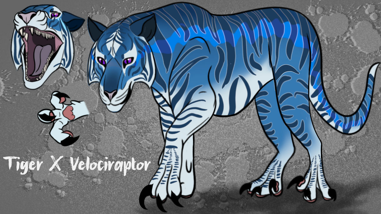 The-Big-Cats DeviantArt Gallery