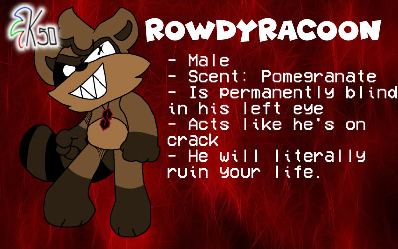 Shady Raccoon RowdyRacoon by SpaceyNostalgia on DeviantArt
