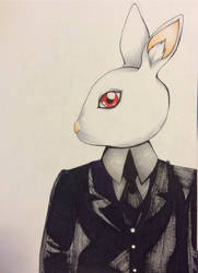 Francis the business rabbit