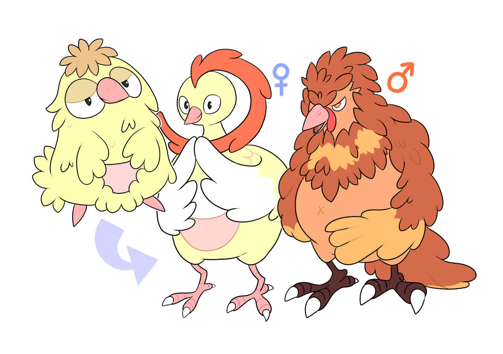 Chicken Pokemon! by DogMango on DeviantArt